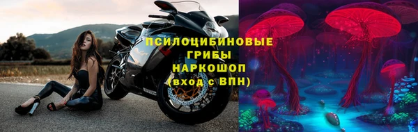 дживик Алексеевка