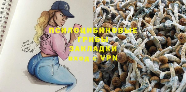 дживик Алексеевка