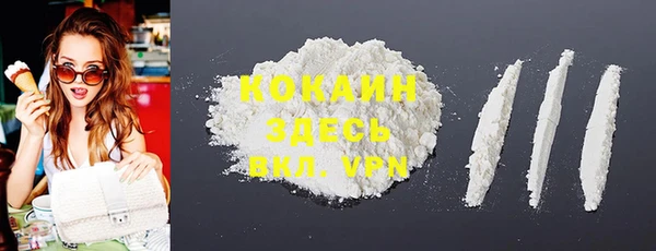 кокс Алексин