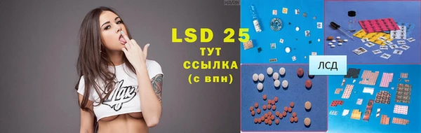 индика Абаза