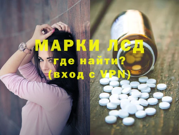 индика Абаза