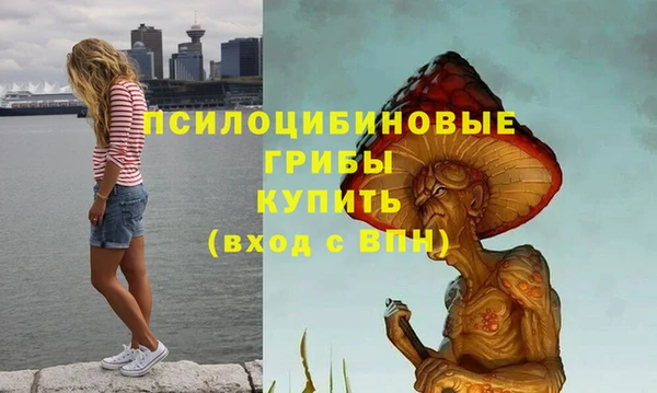 дживик Алексеевка