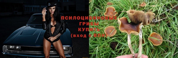 метадон Абдулино