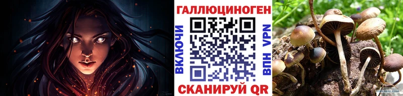 купить сайты Арсеньев Псилоцибиновые грибы мицелий